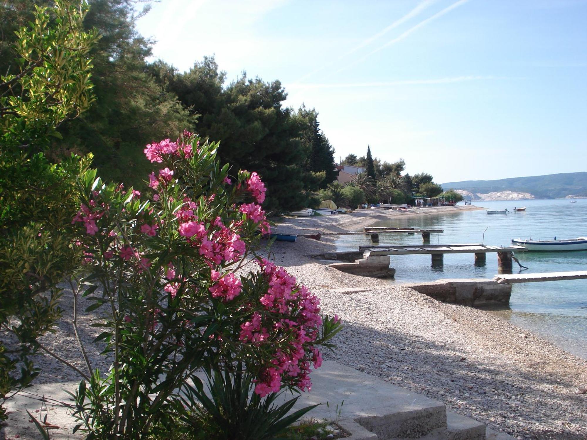 Apartments Smiljana Omiš Dış mekan fotoğraf